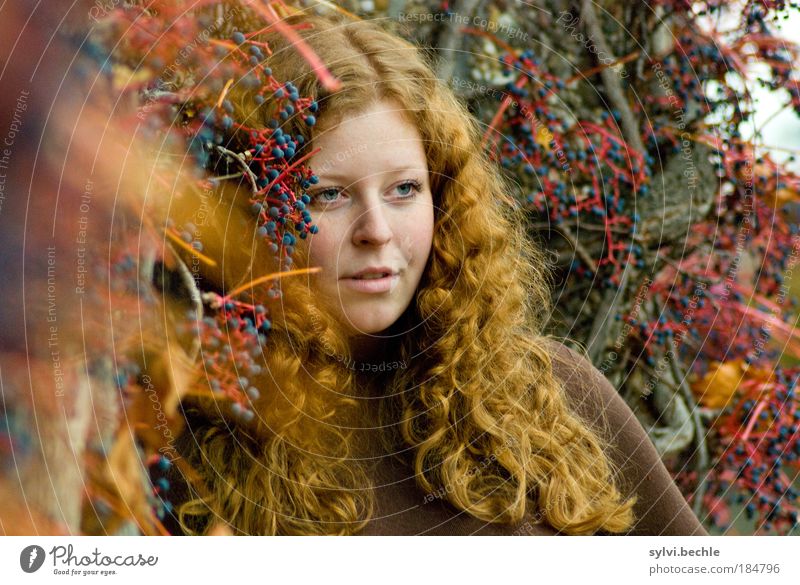 Red! Beautiful Feminine Young woman Youth (Young adults) Hair and hairstyles Face Autumn Bushes Blue Brown Emotions Moody Colour Dream Curl Berries Fruit
