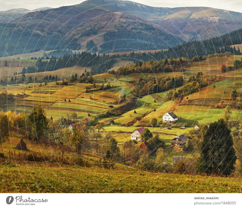 Autumn garden in Carpathian mountains. Orchard on the fall hills Vacation & Travel Tourism Adventure Far-off places Freedom Mountain