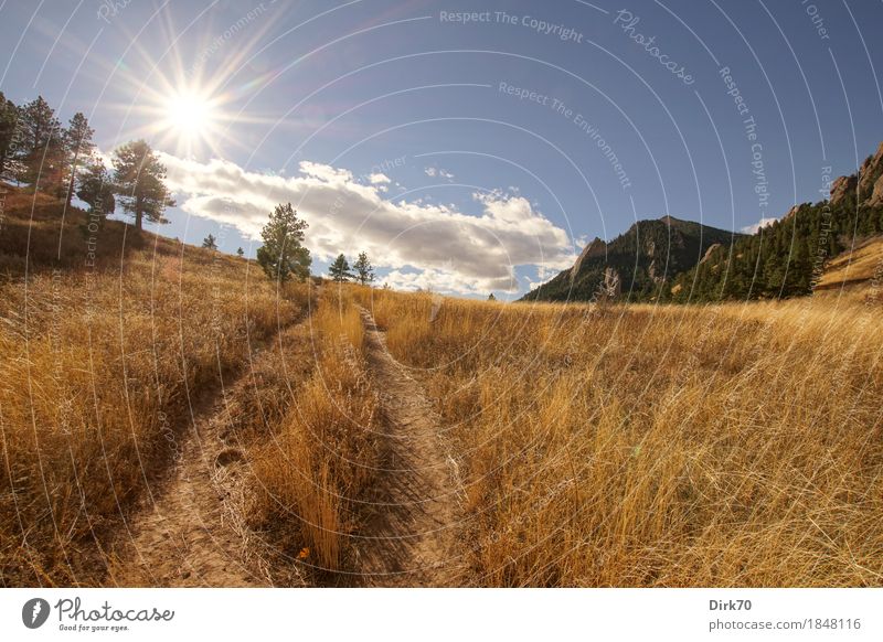 Hiking in Colorado. Vacation & Travel Far-off places Freedom Mountain Landscape Sky Clouds Sun Sunlight Autumn Beautiful weather Meadow Forest Rock