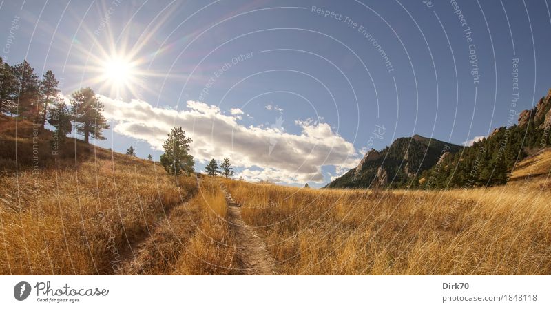 Colorado Panorama: Autumn Meadows and Mountains Vacation & Travel Far-off places Freedom Hiking Nature Landscape Clouds Sun Sunlight Beautiful weather Warmth