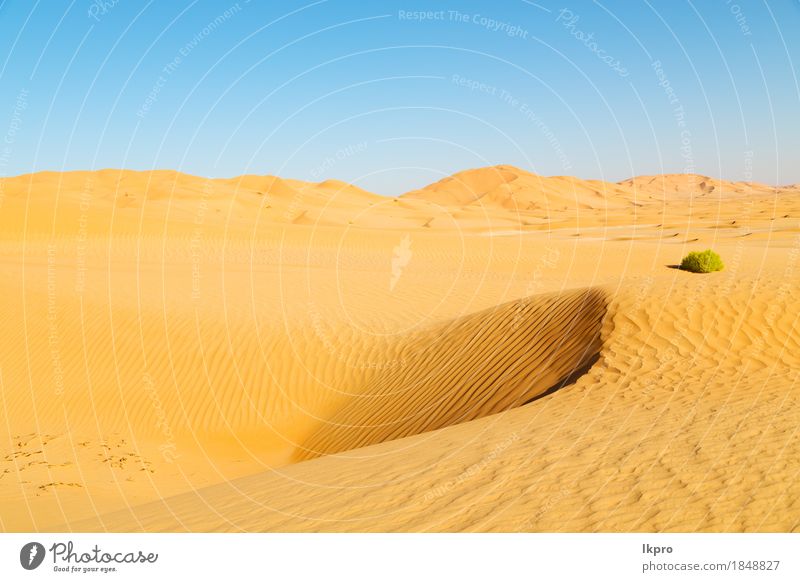 Wavy sandy texture on the dunes in the desert. View from above - a Royalty  Free Stock Photo from Photocase