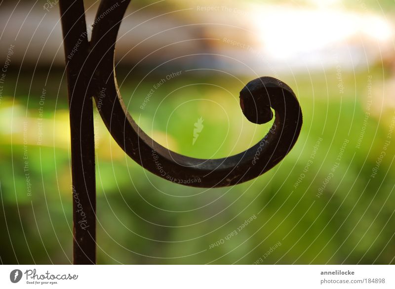 pure ornament Exterior shot Close-up Abstract Pattern Light Silhouette Sunlight Shallow depth of field Decoration Summer Plant Park Balcony Terrace Garden