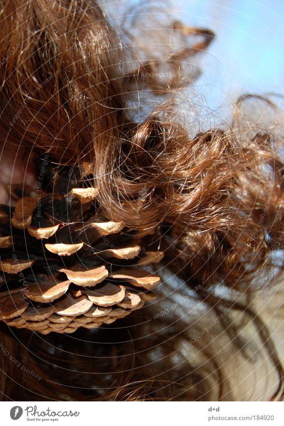 >>> Beautiful Hair and hairstyles Garden Nature Tree Accessory Jewellery Earring Brunette Curl Natural Brown Fir tree Cone Christmas decoration Autumn Autumnal