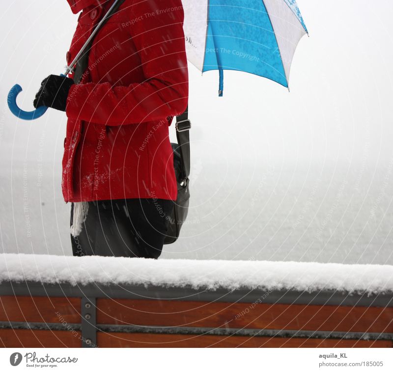 red, blue, white Elegant Pants Jacket Coat Gloves Umbrella Walking Bench Snow Snowfall Snowflake Water Lakeside Red Bag Fog bank Shroud of fog Exterior shot
