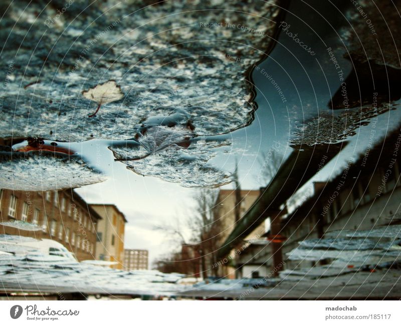 BREAKING THE FRAME Environment Water Autumn Climate Weather Storm Fear Puddle Surrealism Daydream Apocalypse Perspective Whimsical Opposite Foreign Colour photo