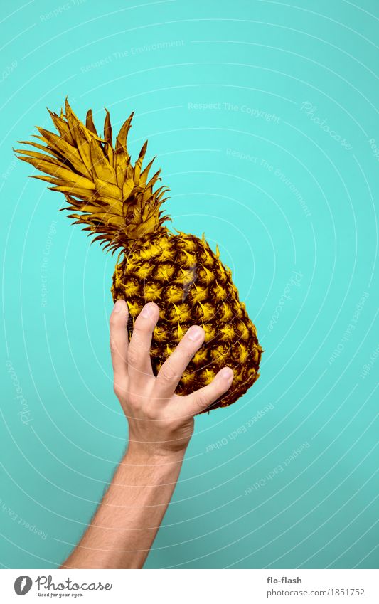 Pineapple make VI Food Fruit Organic produce Vegetarian diet Diet Design Exotic Wellness Life Leisure and hobbies Playing Thanksgiving Coach Agriculture