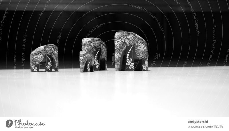 elephants Elephant Things Animal Trunk Pattern Wood pachyderms Black & white photo Floor covering Wild animal sr lanka carved