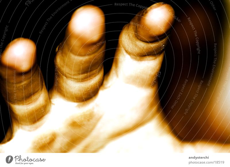 claw Hand Fingers Annual ring Human being Wrinkles Skin Catch Sepia Imprint Fingerprint