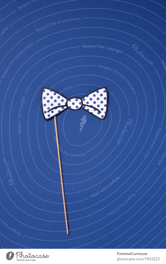 Fly_1853225 Fashion Bow tie Esthetic Festive Elegant Going out Point Spotted Blue White Impaled Wood Accessory Dress up Carnival Party Cardboard Paper Home-made
