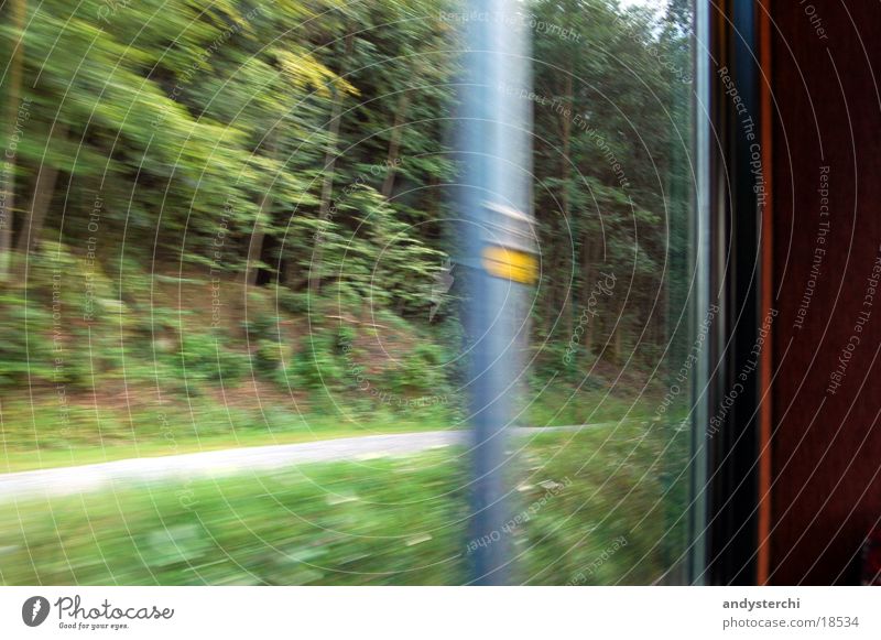 masts Speed Forest Transport Railroad sihltal Railway to zurich Coil Lanes & trails