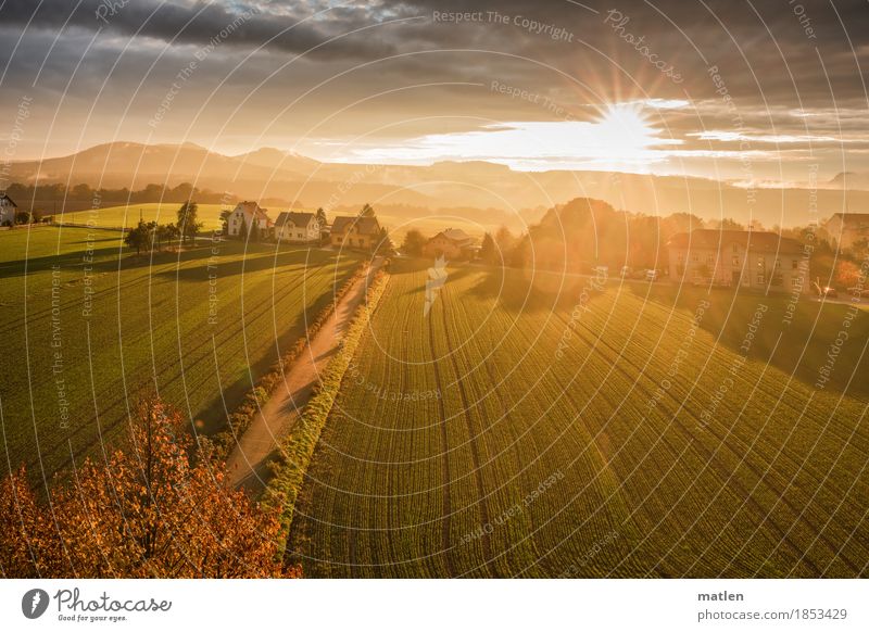 autumnal Landscape Plant Sky Clouds Horizon Autumn Weather Beautiful weather Tree Field Rock Mountain Village Illuminate Brown Yellow Gold Gray Green Orange