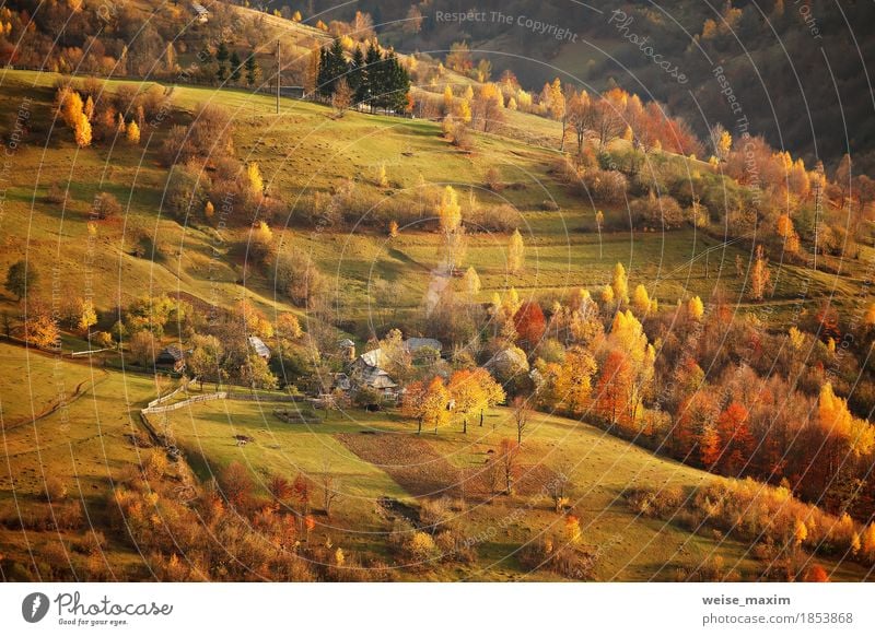 Fall in mountain village. Alpine October scene. Vacation & Travel Tourism Trip Adventure Far-off places Freedom Mountain Hiking House (Residential Structure)