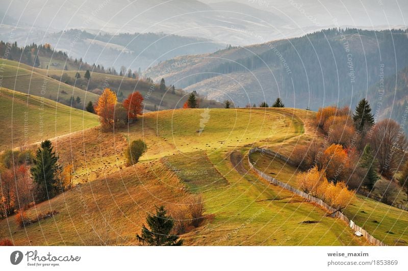 Autumn mountain panorama. October on Carpathian hills Vacation & Travel Tourism Adventure Far-off places Mountain House (Residential Structure) Environment