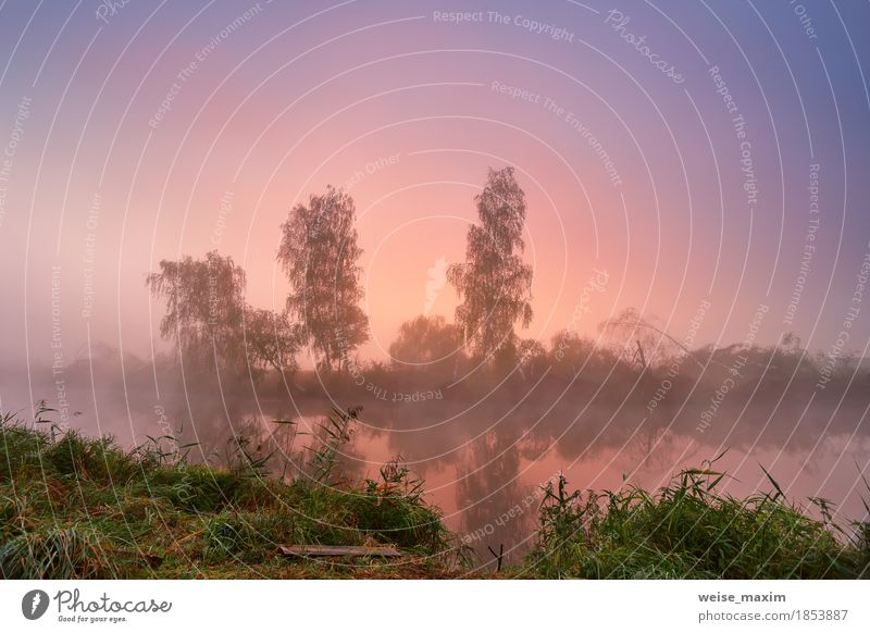 Autumn foggy morning. Colorful dawn on the misty calm river Vacation & Travel Tourism Freedom Environment Nature Landscape Sky Fog Tree Grass Park River bank