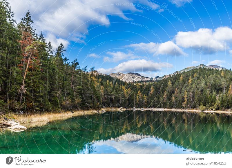 Eibsee Nature Landscape Plant Water Beautiful weather Forest Rock Alps Mountain Peak Snowcapped peak Glacier Lakeside Eib Lake Happy Contentment Peaceful