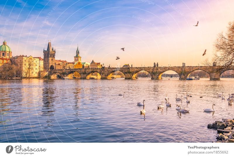 Prague city and Vltava river at sunset Joy Vacation & Travel Tourism Trip Sightseeing City trip Culture Nature River Capital city Old town Skyline Bridge