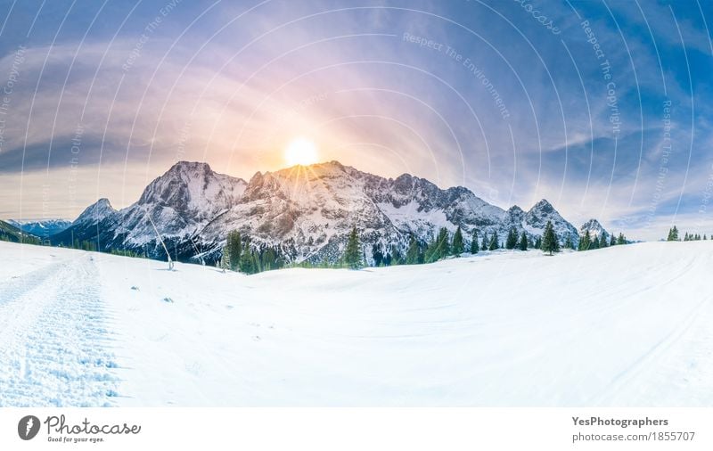 2,700+ Let It Snow Stock Photos, Pictures & Royalty-Free Images - iStock