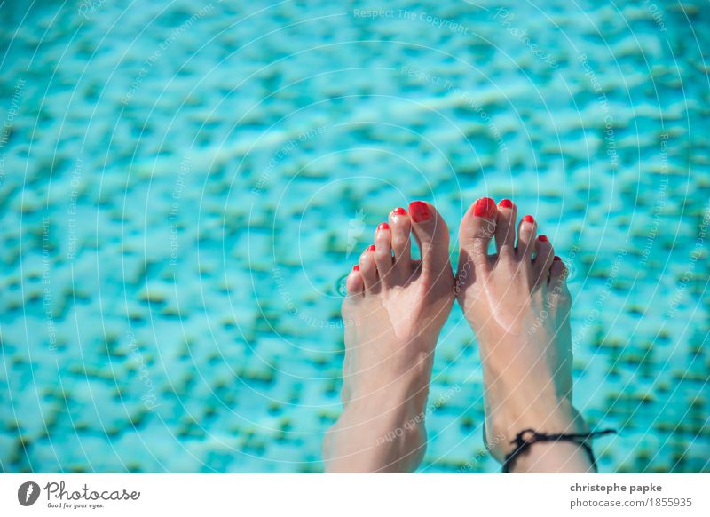 Appeared Well-being Contentment Relaxation Swimming pool Swimming & Bathing Vacation & Travel Tourism Summer Summer vacation Feminine Woman Adults Feet Hot