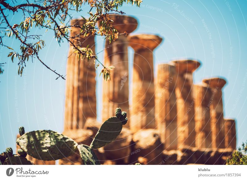 Valley of the Temples in Agrigento, Sicily, Italy Vacation & Travel Tourism Museum Landscape Ruin Architecture Stone Old Historic Religion and faith Greek