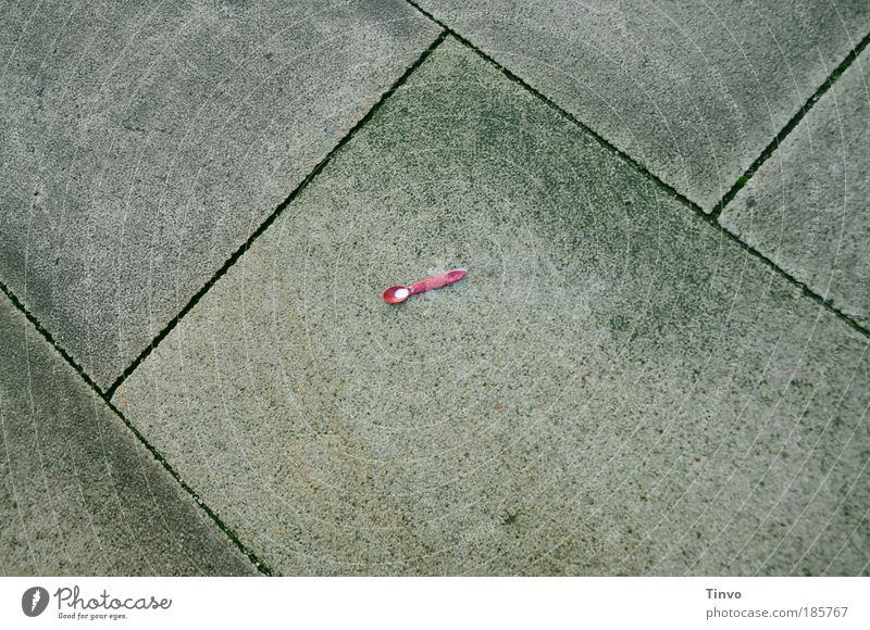 spooned up Spoon Street Lanes & trails Uniqueness Small Pink Infancy Doomed Sidewalk Concrete slab Baby food baby spoon residual milk Colour photo