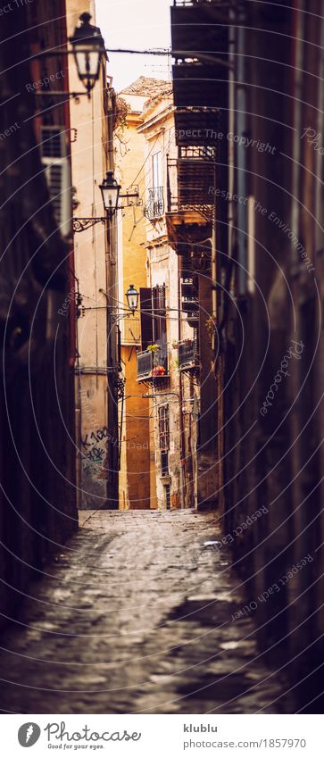 City view detail of Palermo city, Sicily, Italy Style Vacation & Travel House (Residential Structure) Art Culture Places Building Architecture Facade Street Old