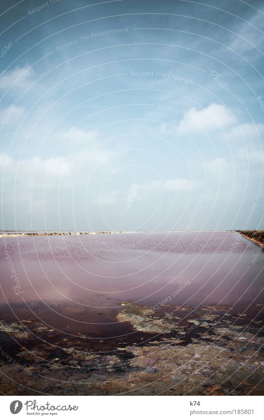 euro Colour photo Exterior shot Day daylight Water Sky Horizon Ocean Pond Lake Dream differently Fantastic Blue Pink Clouds Landscape