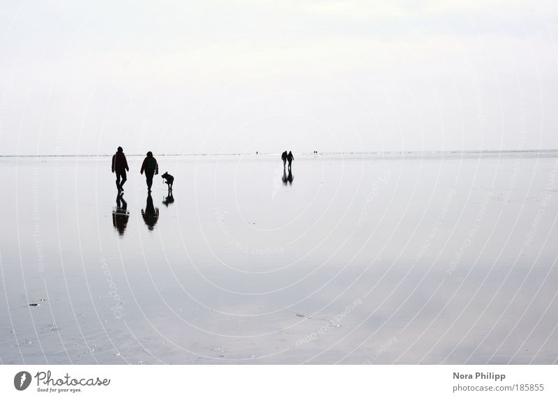 mirror Calm Human being Friendship Couple Partner Life 4 Environment Nature Landscape Elements Air Water Climate Coast Beach North Sea Hiking Blue Sympathy