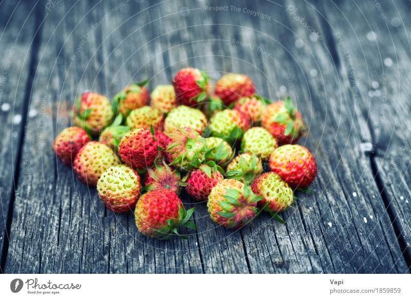 Bunch of red wild strawberry Food Vegetable Fruit Dessert Nutrition Breakfast Vegetarian diet Diet Group Nature Leaf Wood Old Fresh Delicious Natural Juicy Wild