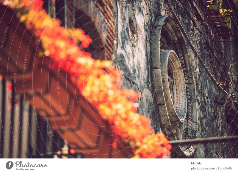 Detail view of typical urban sicilian decoration Decoration Art Plant Flower Church Building Architecture Balcony Ornament Old Historic Religion and faith Italy
