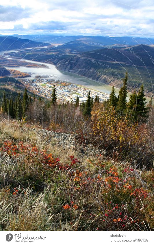 dawson city, yukon territory Vacation & Travel Tourism Trip Far-off places Freedom Expedition Mountain Nature Landscape Sky Clouds Horizon Autumn Bushes Forest