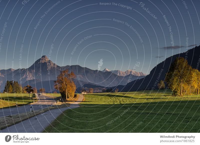 Autumn at Lake Weissensee Mountain Hiking Climbing Mountaineering Nature Landscape Cloudless sky Beautiful weather Tree Grass Alps Peak Meadow Autumnal colours