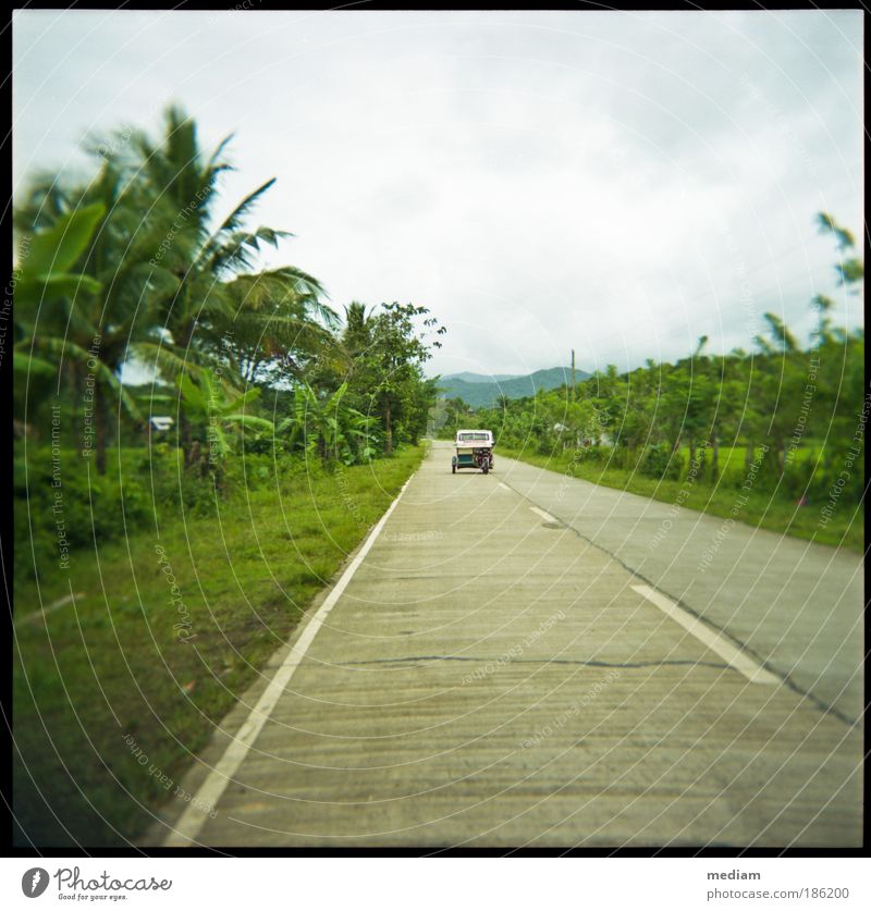 Tropical taxi, 9 km/h Vacation & Travel Nature Plant palawan Philippines South East Asia Transport Means of transport Passenger traffic Public transit