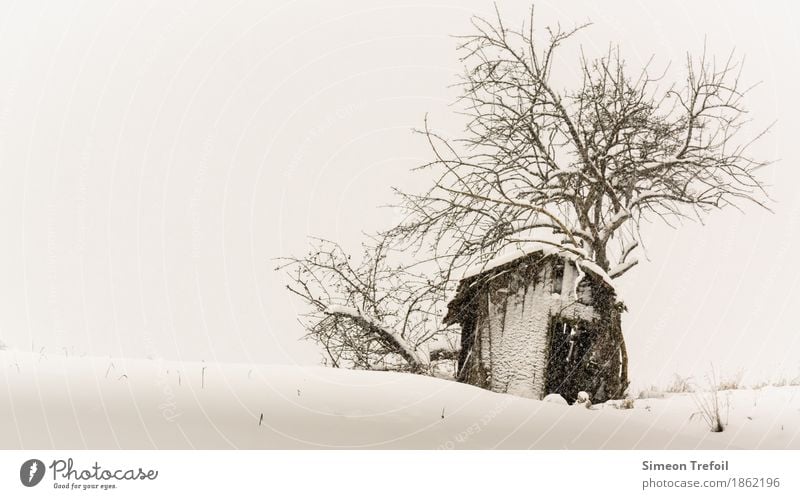 winter cabin Winter Snow Hiking Bad weather Snowfall Tree Field Hill Deserted Hut Old Threat Dark Creepy Black Sadness Grief Death Loneliness Exhaustion Fear
