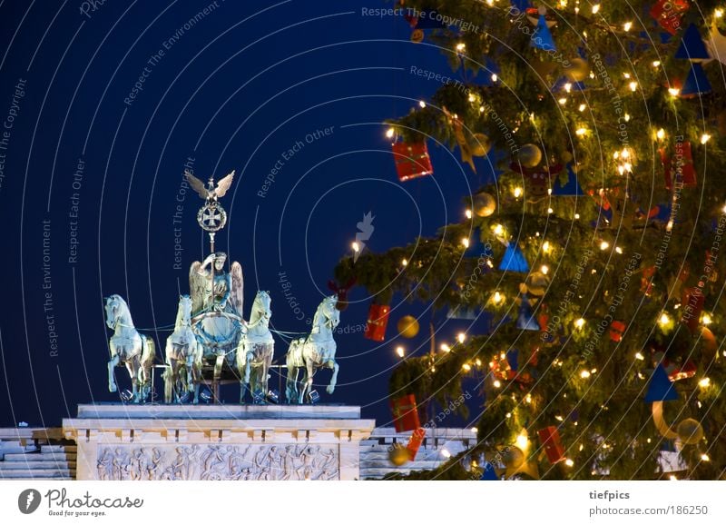 Merry christmas. Winter Tree Capital city Tourist Attraction Landmark Ornament Anticipation Peace Brandenburg Gate Berlin Old Testament night Christmas tree
