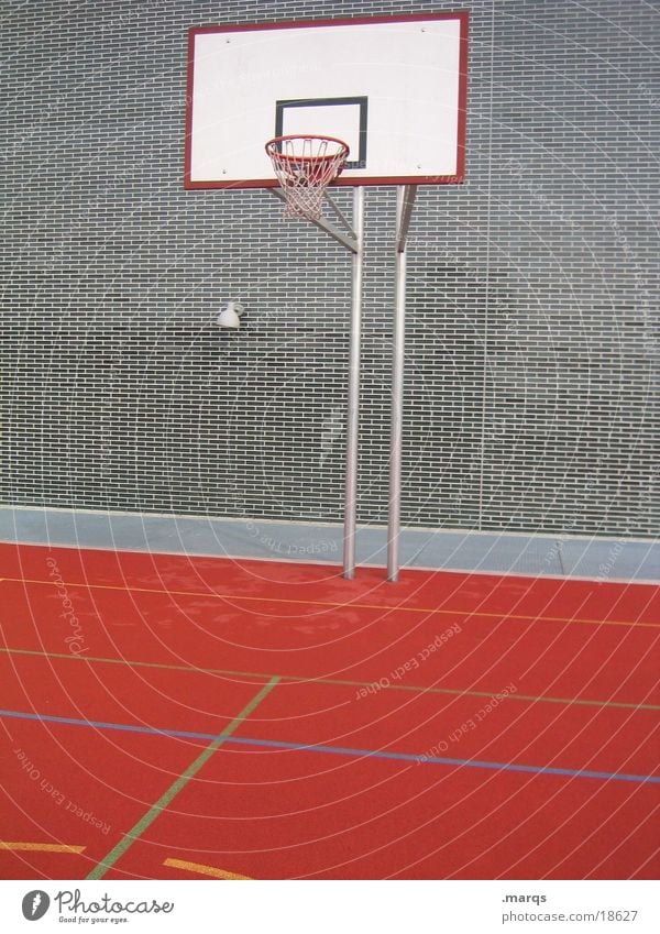 basket Basket Field Attack Defensive Sports Playing Ball sports Basketball Circle rebound Movement Throw marqs