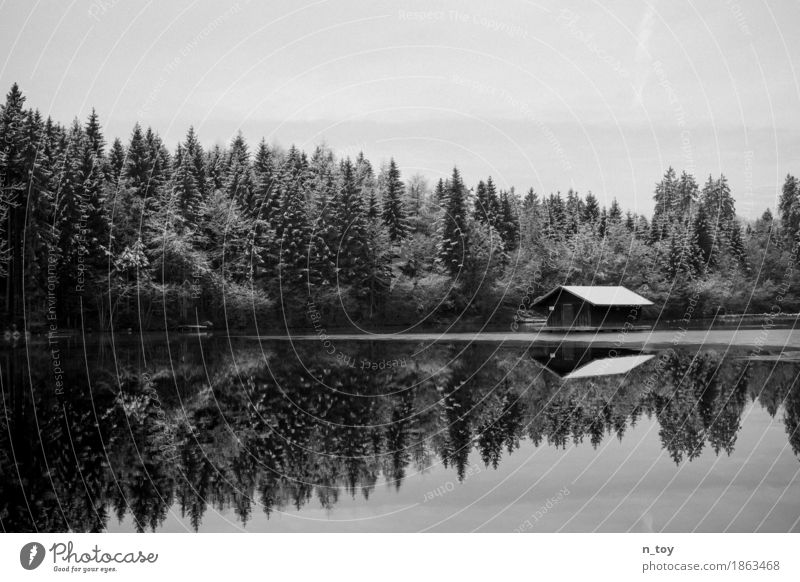 House in the lake Environment Nature Landscape Water Winter Ice Frost Snow Forest Lakeside Freeze Happy Black White Emotions Moody Loneliness sea hut