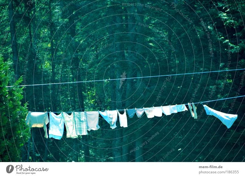 90 GRAD Laundry Dry White white linen Rope Clothesline Washing Cleaning Household Pure Nature Tree Forest Hang up Sunlight Beautiful weather Green Washing day
