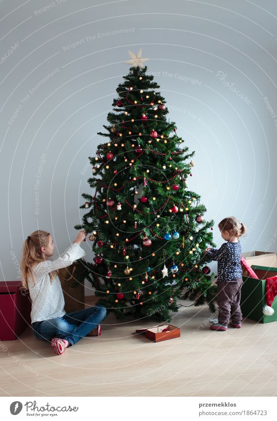 Young girl and her little sister decorating Christmas tree Lifestyle Joy Decoration Feasts & Celebrations Child Toddler Girl Sister Family & Relations 2