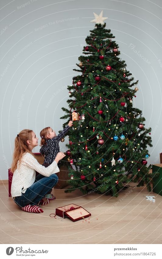 Young girl and her little sister decorating Christmas tree Lifestyle Joy Decoration Feasts & Celebrations Christmas & Advent Child Toddler Girl Sister