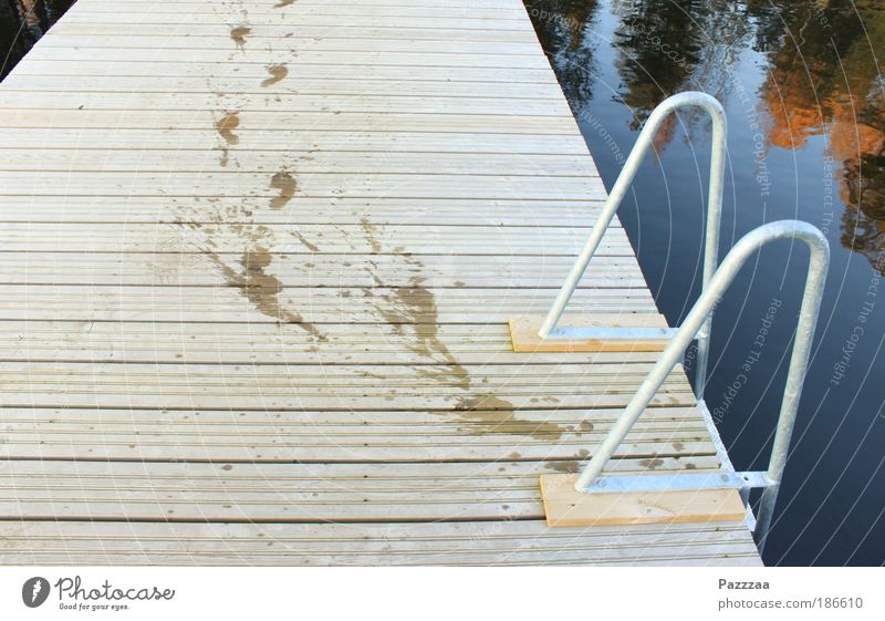 Plops? Nah, he just left. Summer Feet 1 Human being Water Drops of water Lakeside Walking Brown Happiness Footprint Swimming & Bathing Dripping Footbridge