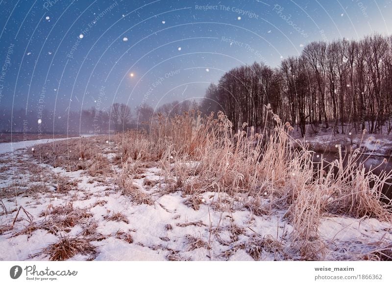 Magic winter Christmas night. Snowfall scene on a river Adventure Winter Winter vacation Landscape Moon Fog Ice Frost Tree Grass Meadow River Natural Snowflake