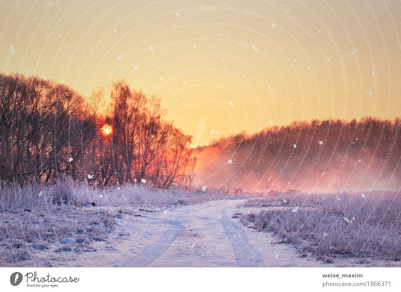 Winter misty sunrise. Rural foggy and frosty scene Vacation & Travel Far-off places Freedom Snow Hiking Nature Landscape Air Sky Sunrise Sunset Fog Ice Frost