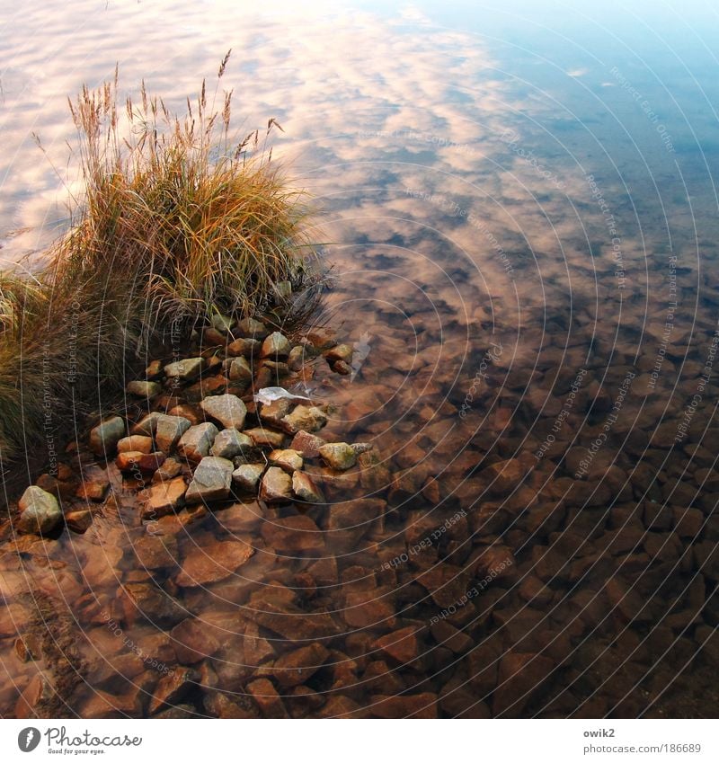 Lake Bärwald Far-off places Environment Nature Landscape Plant Elements Water Sky Clouds Autumn Climate Weather Beautiful weather Grass Wild plant Stone Coast