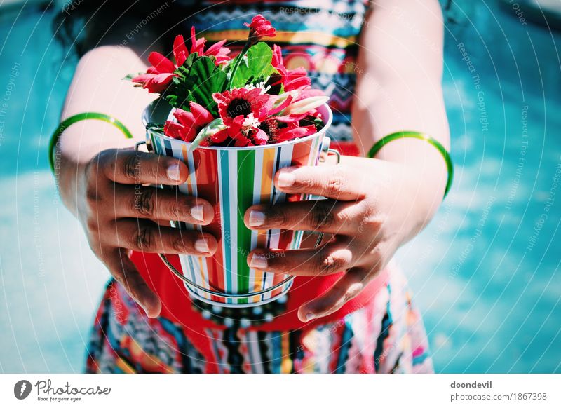 Young woman holding flowers in hand Decoration Bouquet Inspiration Love Beautiful Flower Welcome Multicoloured Bright Hold Red Colour photo Exterior shot