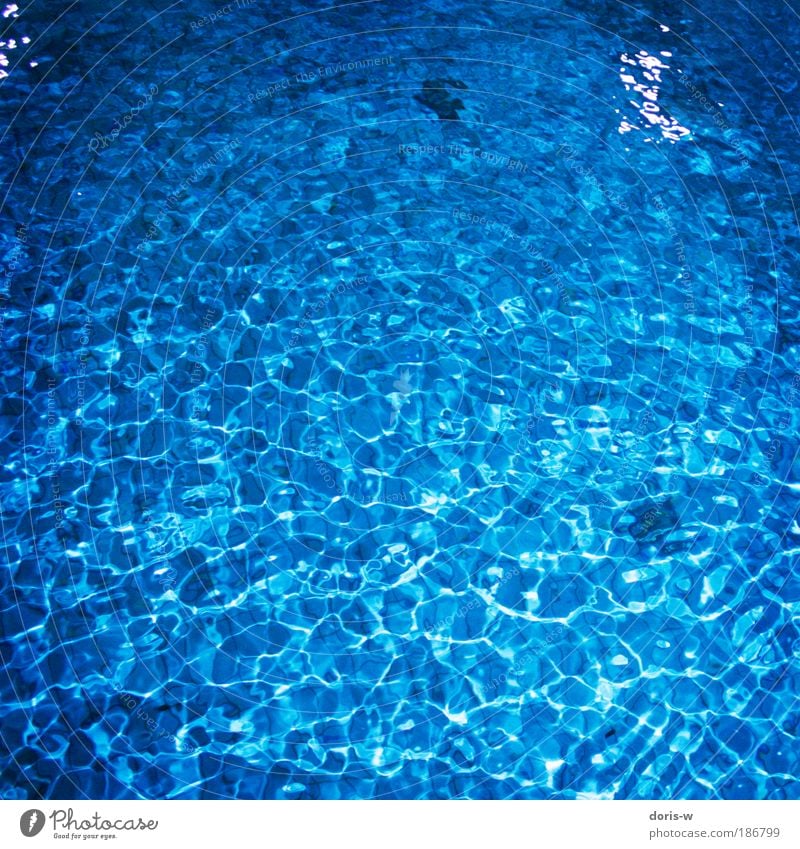 deep blue Relaxation Esthetic Fresh Cold Wet Above Blue Cyan Pattern Dive Surface of water Swimming pool Indoor swimming pool Arrangement Progress Light