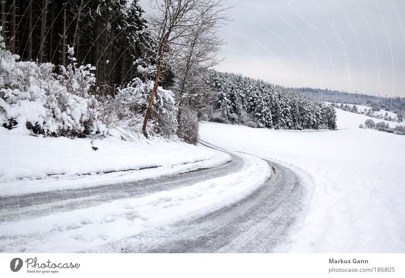 slippery road Winter Nature Landscape Ice Frost Snow Tree Forest Traffic infrastructure Street Threat Gray White Colour photo Exterior shot Deserted