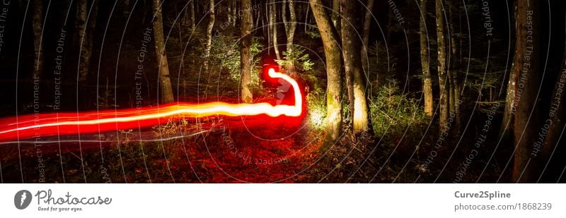 FOREST SPIRITS Tree Forest Illuminate Exceptional Dark Lanes & trails Red Long exposure Magic Enchanting Intellect Phenomenon forest spirit Nature Road marking