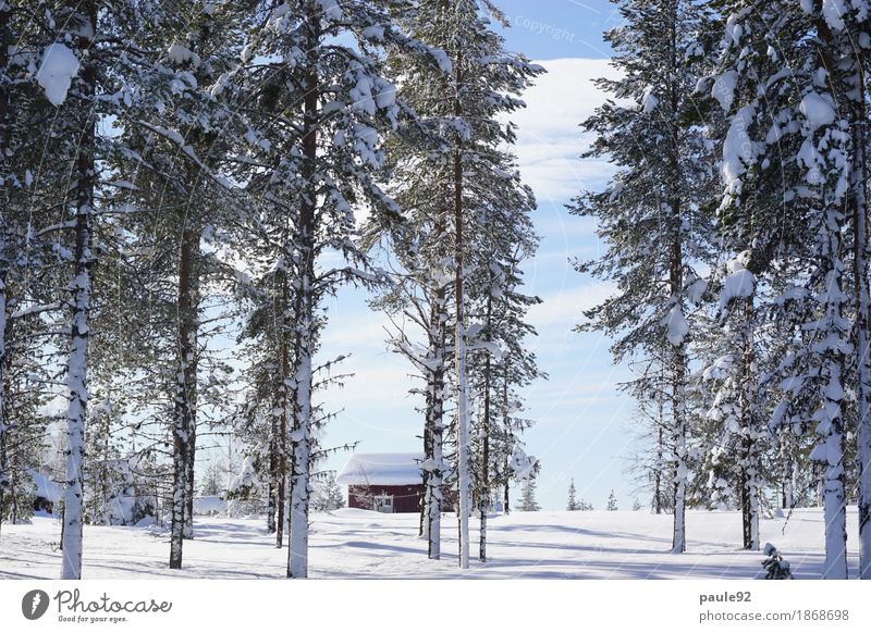 Freedom Harmonious Calm Adventure Winter Snow Nature Clouds Beautiful weather Ice Frost Plant Tree Sweden Europe Deserted Dream house Hut Old Esthetic Simple