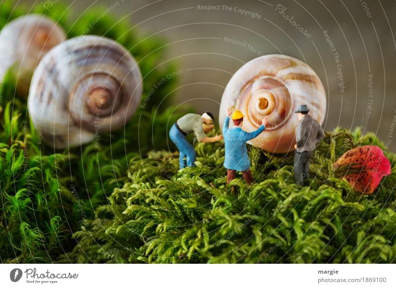 Miniwelten - Snail hole Services Construction site Human being Masculine Man Adults 3 Nature Plant Grass Moss Leaf Brown Green Snail shell Landscape format