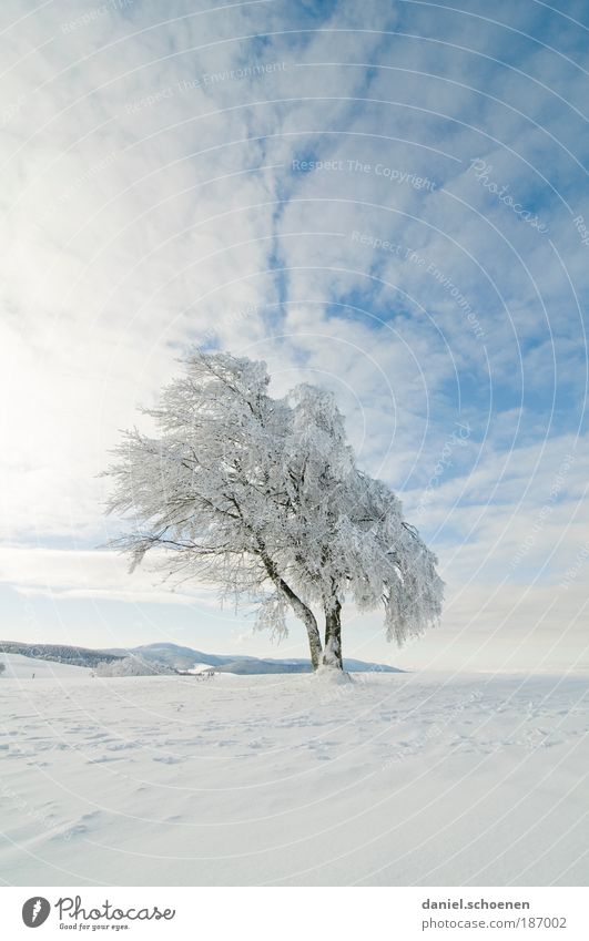 finally cold fingers !! - a Royalty Free Stock Photo from Photocase